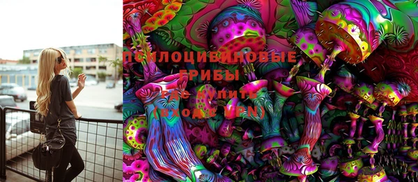стафф Алзамай