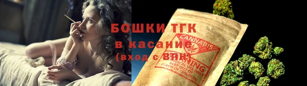 бошки Алексин