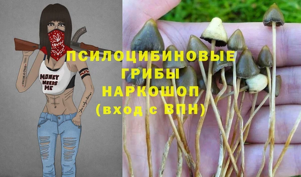 марки nbome Алексеевка