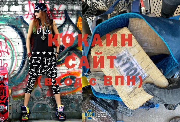 бошки Алексин