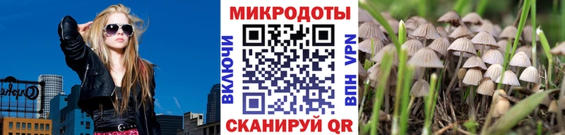 Псилоцибиновые грибы прущие грибы  где купить наркоту  Ленинск 